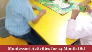 Montessori Activities for 14 Month Old