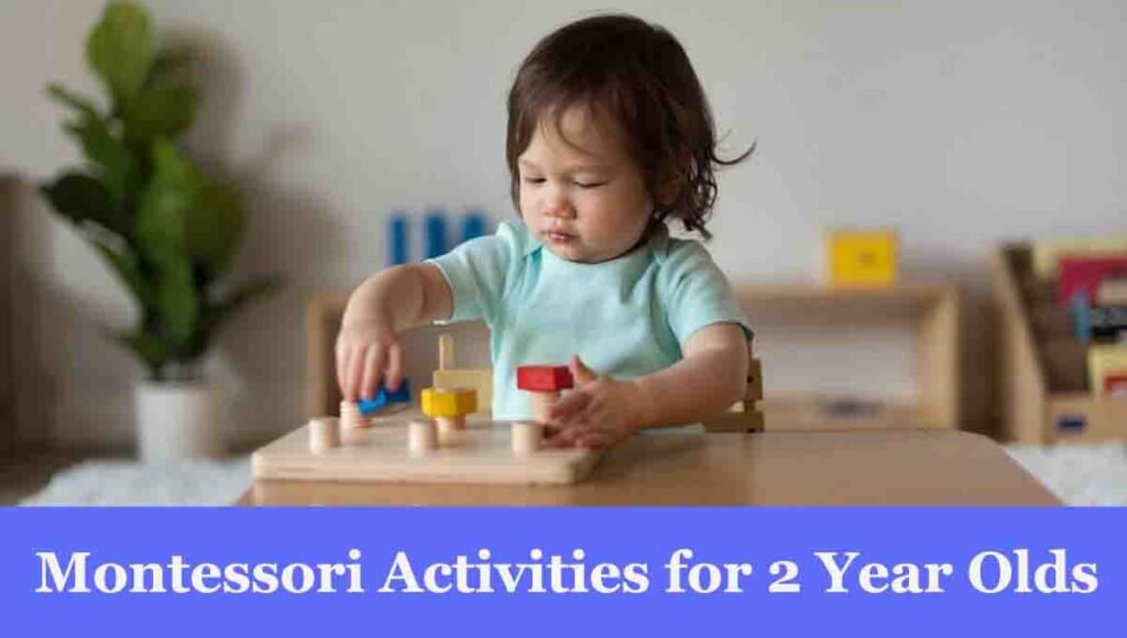 Best Montessori Activities for 2 Year Olds