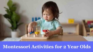 montessori activities for 2 year olds