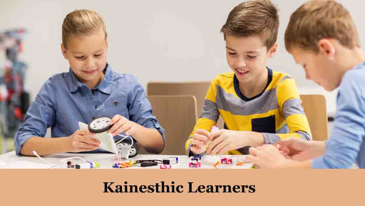 Kainesthic Learners