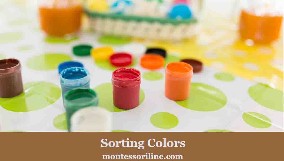 Sorting Colors is montessori activity