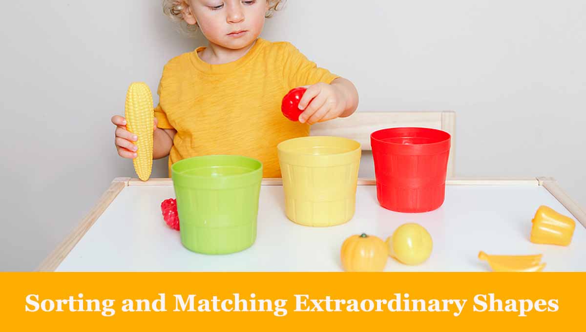 Sorting and Matching Extraordinary Shapes montessori activities