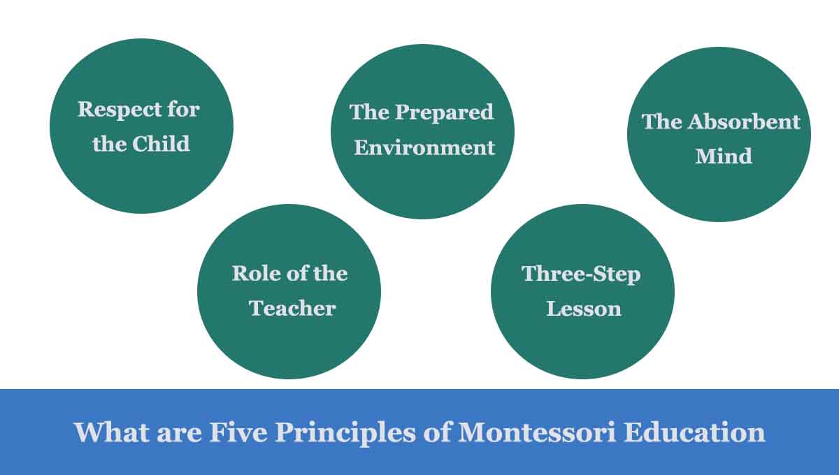 what are the five principles of montessori education