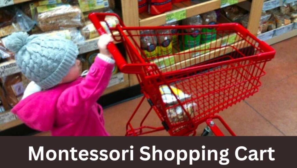 Montessori Shopping Cart