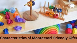 Characteristics of Montessori-Friendly Gifts