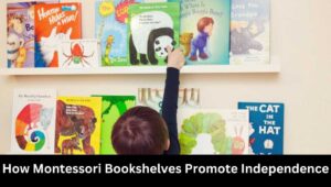 How Montessori Bookshelves Promote Independence