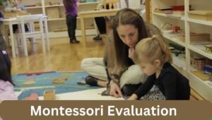 Montessori Evaluation