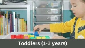 Toddlers (1-3 years)