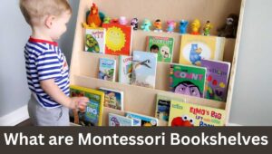 What are Montessori Bookshelves
