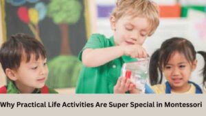 Why Practical Life Activities Are Super Special in Montessori