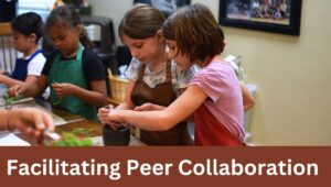 Facilitating Peer Collaboration