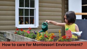 How to care for Montessori Environment
