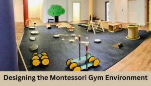 Designing the Montessori Gym Environment