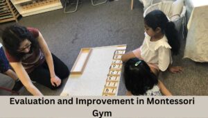 Evaluation and Improvement in Montessori Gym