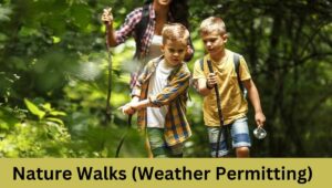 Nature Walks (Weather Permitting)