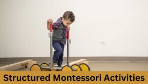 Structured Montessori Activities
