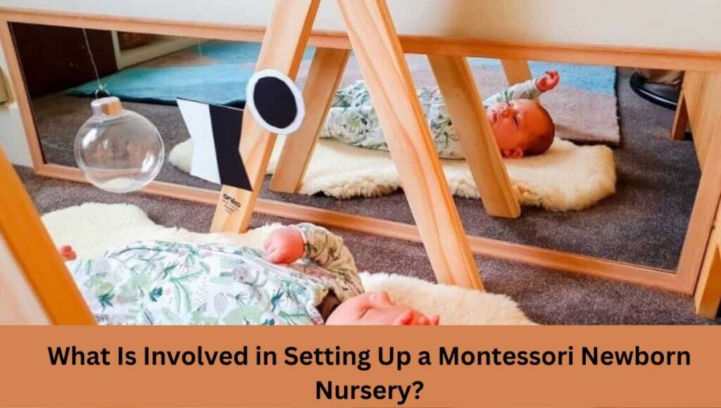 What Is Involved in Setting Up a Montessori Newborn Nursery?