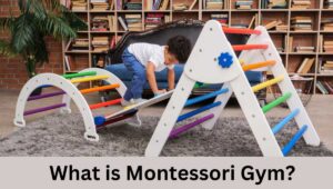 What is Montessori Gym