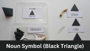 Noun Symbol (Black Triangle)