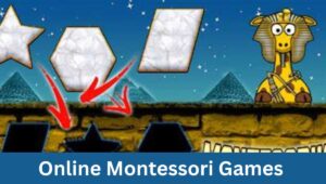 Online Montessori Games