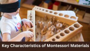 Key Characteristics of Montessori Materials