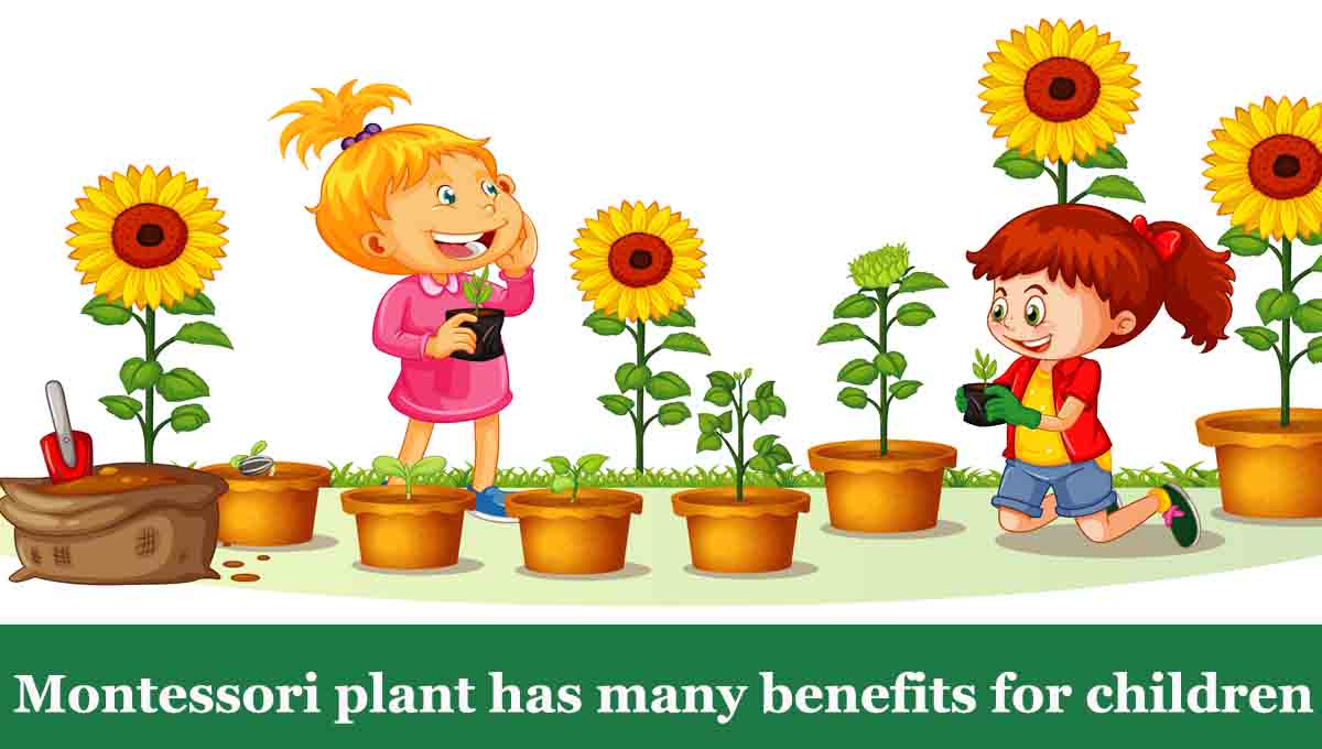 Montessori plant has many benefits for children