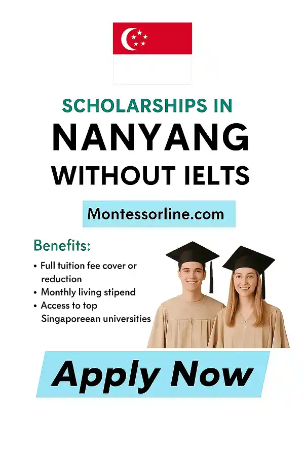 Nanyang International Scholarships 2026 in Singapore (Fully Funded)
