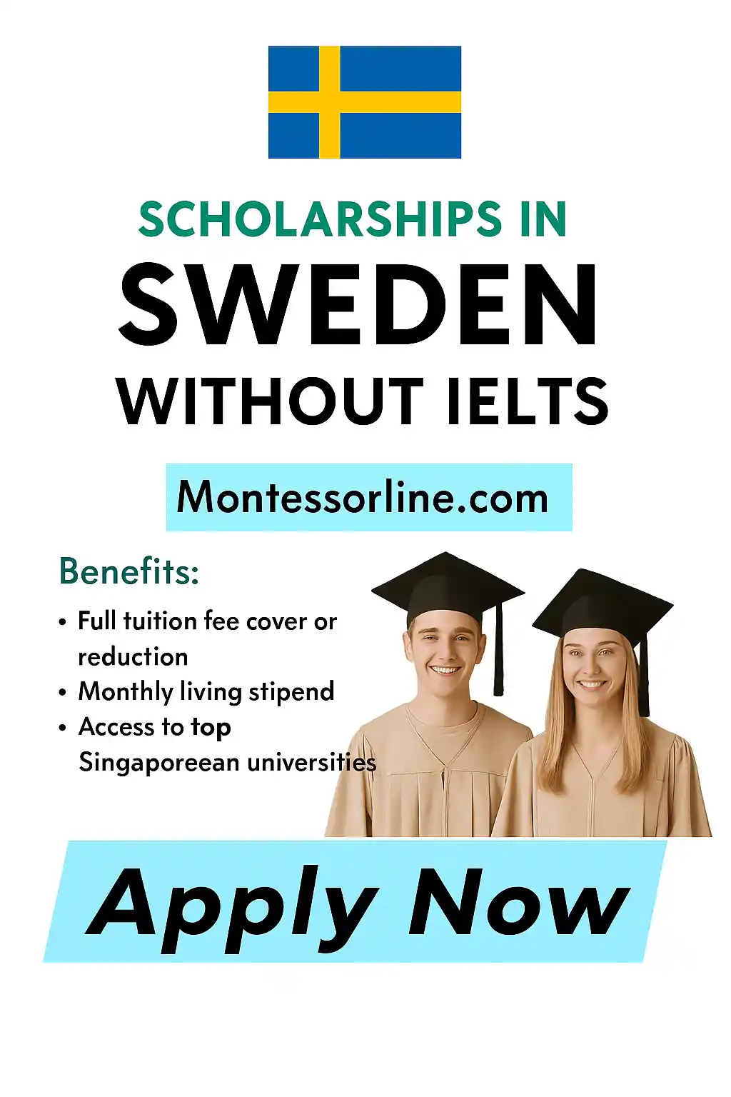 Study in Sweden Without IELTS 2026