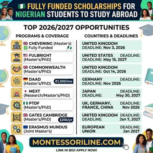 Fully Funded Scholarships for Nigerian Students to Study Abroad
